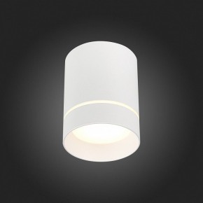 Накладной светильник ST-Luce ST115 ST115.532.12 в Коротчаево - korotchaevo.mebel24.online | фото 4