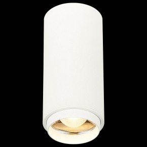 Накладной светильник ST-Luce Zoom ST600.532.10 в Коротчаево - korotchaevo.mebel24.online | фото 4
