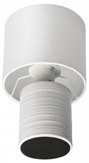 Настольная лампа декоративная Lumion Tuala 8144/1Т в Коротчаево - korotchaevo.mebel24.online | фото 3