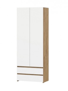 НЕКСТ 1 Шкаф двухстворчатый с ящиками в Коротчаево - korotchaevo.mebel24.online | фото
