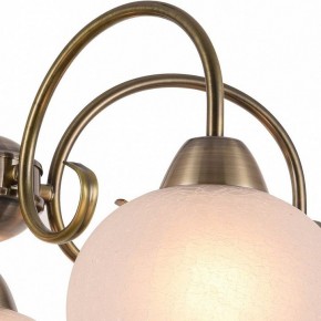 Подвесная люстра Arte Lamp Margo A9317LM-5AB в Коротчаево - korotchaevo.mebel24.online | фото 3