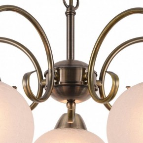 Подвесная люстра Arte Lamp Margo A9317LM-5AB в Коротчаево - korotchaevo.mebel24.online | фото 4