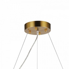 Подвесная люстра Favourite Magnitudo 2206-12P в Коротчаево - korotchaevo.mebel24.online | фото 7