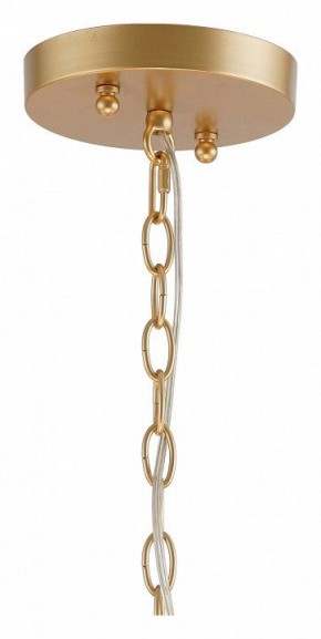Подвесная люстра Favourite Mateo 2634-8P в Коротчаево - korotchaevo.mebel24.online | фото 12