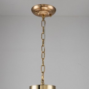 Подвесная люстра Favourite Rocca 2689-6P в Коротчаево - korotchaevo.mebel24.online | фото 4