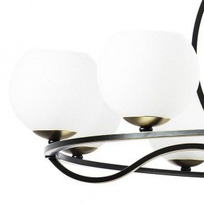 Подвесная люстра Lightstar Enna 762117 в Коротчаево - korotchaevo.mebel24.online | фото 4