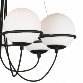 Подвесная люстра Lightstar Globo 803267 в Коротчаево - korotchaevo.mebel24.online | фото 5