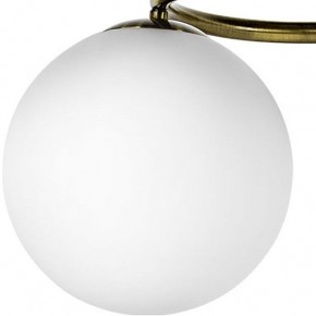 Подвесная люстра Lightstar Globo 815091 в Коротчаево - korotchaevo.mebel24.online | фото 3