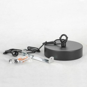 Подвесная люстра Lussole Fishers LSP-8800 в Коротчаево - korotchaevo.mebel24.online | фото 7
