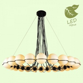 Подвесная люстра Lussole Seneca GRLSP-8176 в Коротчаево - korotchaevo.mebel24.online | фото 3