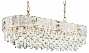 Подвесная люстра Odeon Light Fiesta 5070/14 в Коротчаево - korotchaevo.mebel24.online | фото