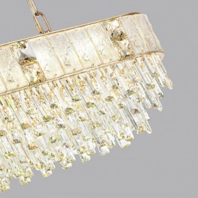 Подвесная люстра Odeon Light Fiesta 5070/14 в Коротчаево - korotchaevo.mebel24.online | фото 6