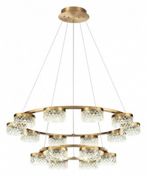 Подвесная люстра Odeon Light Fivre 5032/96L в Коротчаево - korotchaevo.mebel24.online | фото 2