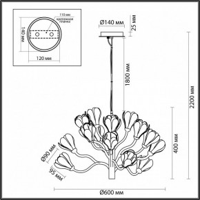 Подвесная люстра Odeon Light Gardi 5090/15 в Коротчаево - korotchaevo.mebel24.online | фото 6