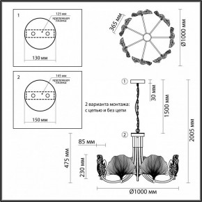 Подвесная люстра Odeon Light Ventaglio 4870/7 в Коротчаево - korotchaevo.mebel24.online | фото 6