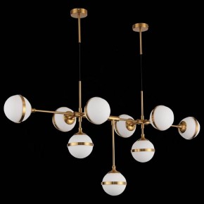 Подвесная люстра ST-Luce Arbe SL1157.303.09 в Коротчаево - korotchaevo.mebel24.online | фото 4