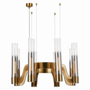Подвесная люстра ST-Luce Ettore SL1235.303.08 в Коротчаево - korotchaevo.mebel24.online | фото 3
