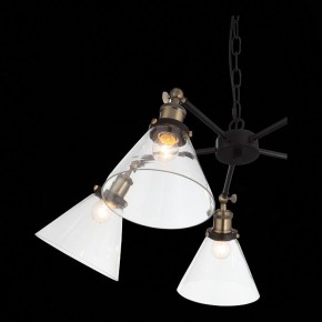 Подвесная люстра ST-Luce Evoluto SL237.413.05 в Коротчаево - korotchaevo.mebel24.online | фото 7