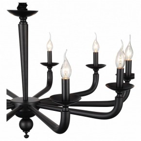 Подвесная люстра ST-Luce SL1114 SL1114.403.10 в Коротчаево - korotchaevo.mebel24.online | фото 4