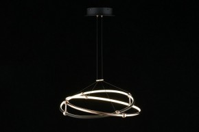 Подвесной светильник Aployt Diana APL.034.03.40 в Коротчаево - korotchaevo.mebel24.online | фото 5