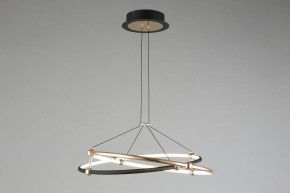 Подвесной светильник Aployt Diana APL.034.03.40 в Коротчаево - korotchaevo.mebel24.online | фото 7