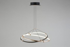 Подвесной светильник Aployt Diana APL.034.03.40 в Коротчаево - korotchaevo.mebel24.online | фото 9