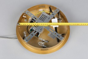 Подвесной светильник Aployt Janina APL.018.13.60 в Коротчаево - korotchaevo.mebel24.online | фото 11