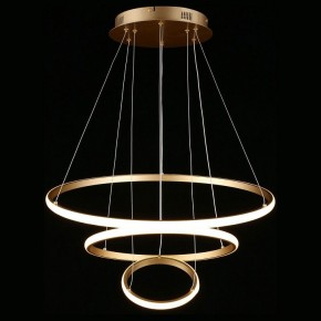 Подвесной светильник Aployt Janina APL.018.13.60 в Коротчаево - korotchaevo.mebel24.online | фото 4