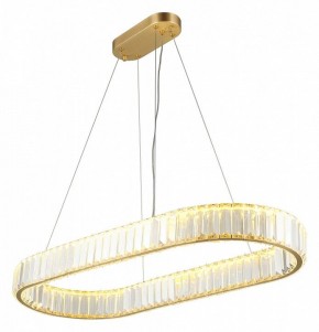 Подвесной светильник Aployt Nicoletta APL.026.03.70 в Коротчаево - korotchaevo.mebel24.online | фото 10