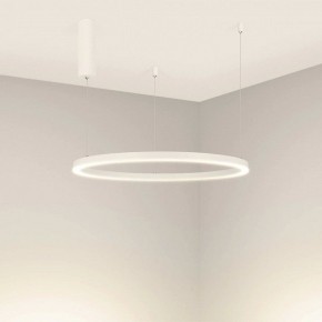 Подвесной светильник Arlight CONGO 046248 в Коротчаево - korotchaevo.mebel24.online | фото 2