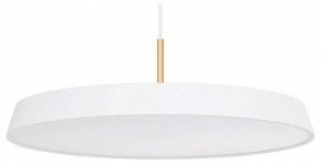 Подвесной светильник Arlight ELEGANT 033924(1) в Коротчаево - korotchaevo.mebel24.online | фото