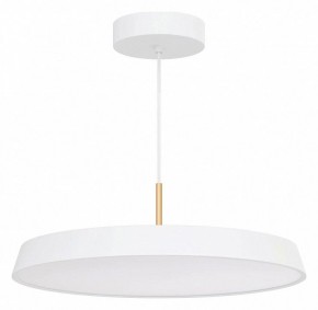 Подвесной светильник Arlight ELEGANT 033924(1) в Коротчаево - korotchaevo.mebel24.online | фото 2
