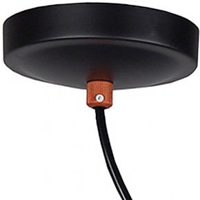 Подвесной светильник Favourite Ampolla 2007-1P в Коротчаево - korotchaevo.mebel24.online | фото 4