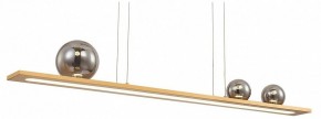 Подвесной светильник Favourite Bilico 4549-3P в Коротчаево - korotchaevo.mebel24.online | фото 2