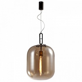Подвесной светильник Favourite Canister 4264-1P в Коротчаево - korotchaevo.mebel24.online | фото 2