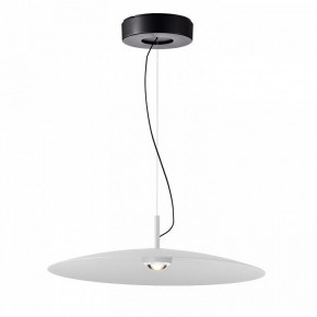 Подвесной светильник Favourite Lars 4410-1P в Коротчаево - korotchaevo.mebel24.online | фото 2