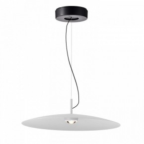Подвесной светильник Favourite Lars 4410-2P в Коротчаево - korotchaevo.mebel24.online | фото 2