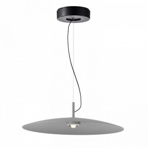 Подвесной светильник Favourite Lars 4412-1P в Коротчаево - korotchaevo.mebel24.online | фото 2