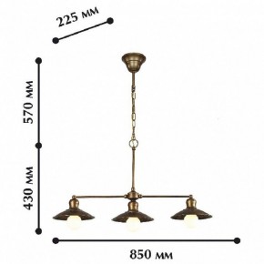 Подвесной светильник Favourite Magrib 1214-3P1 в Коротчаево - korotchaevo.mebel24.online | фото 2