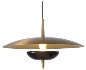 Подвесной светильник Favourite Marmo 4246-1P в Коротчаево - korotchaevo.mebel24.online | фото