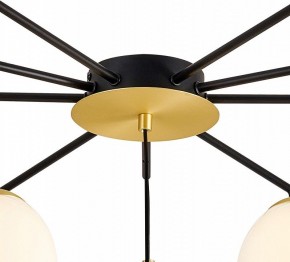 Подвесной светильник Favourite Paramount 3047-10P в Коротчаево - korotchaevo.mebel24.online | фото 5