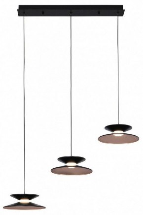 Подвесной светильник Favourite Platt 4372-3P в Коротчаево - korotchaevo.mebel24.online | фото 2