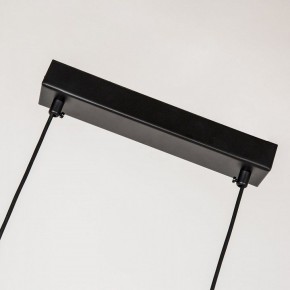 Подвесной светильник Favourite Raya 4096-2P в Коротчаево - korotchaevo.mebel24.online | фото 7