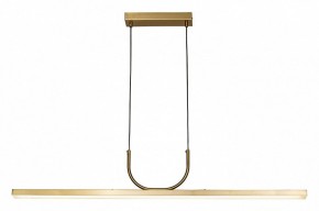 Подвесной светильник Favourite Raya 4097-2P в Коротчаево - korotchaevo.mebel24.online | фото 3
