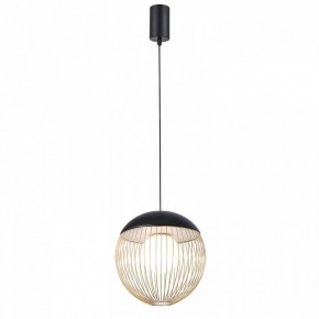 Подвесной светильник Favourite Сore 4240-1P в Коротчаево - korotchaevo.mebel24.online | фото