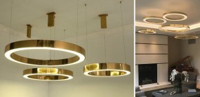 Подвесной светильник Imperiumloft Light Ring Horizontal 40.1454-60 в Коротчаево - korotchaevo.mebel24.online | фото 2