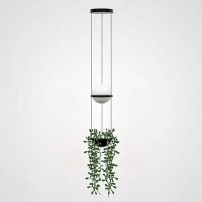 Подвесной светильник Imperiumloft Palma Wall Lamp 22.93727 в Коротчаево - korotchaevo.mebel24.online | фото