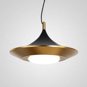 Подвесной светильник Imperiumloft Rask RASK01 в Коротчаево - korotchaevo.mebel24.online | фото 2
