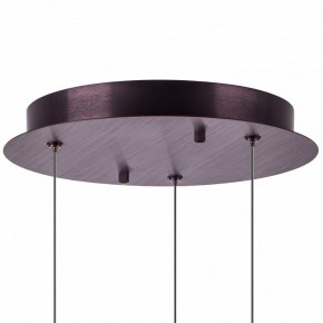 Подвесной светильник Lightstar Caramello 796139 в Коротчаево - korotchaevo.mebel24.online | фото 13