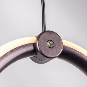 Подвесной светильник Lightstar Caramello 796289 в Коротчаево - korotchaevo.mebel24.online | фото 10